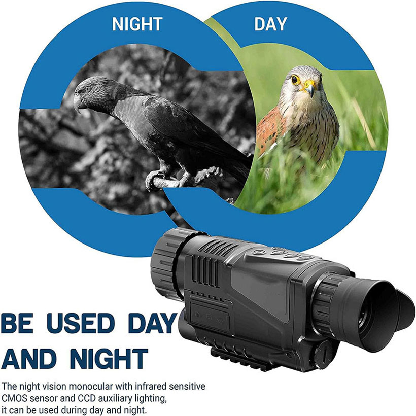 Low Light Night Vision Hunting - Outdoor Adventure Videos 评论和价格